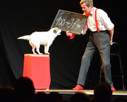 Tages-Event für Mitarbeiter mit spektakulärer Varietéshow